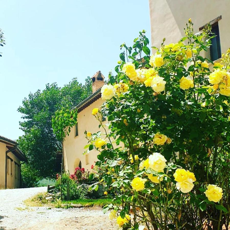 Agriturismo Il Covo Del Solengo Valtopina 外观 照片
