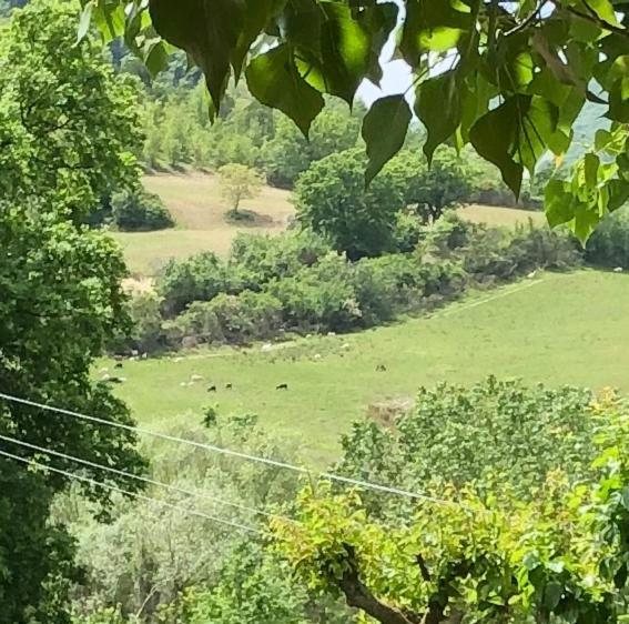 Agriturismo Il Covo Del Solengo Valtopina 外观 照片