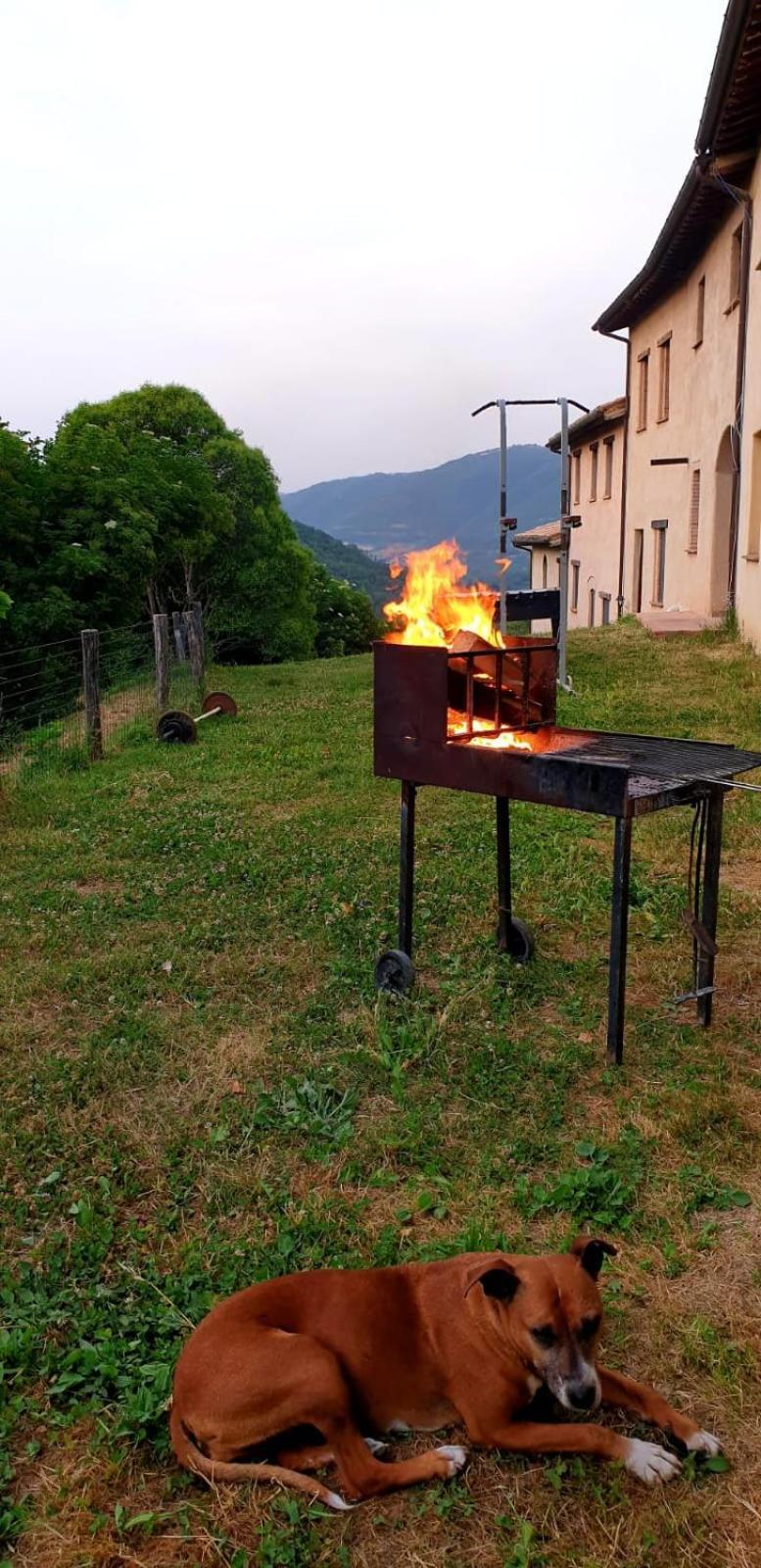 Agriturismo Il Covo Del Solengo Valtopina 外观 照片