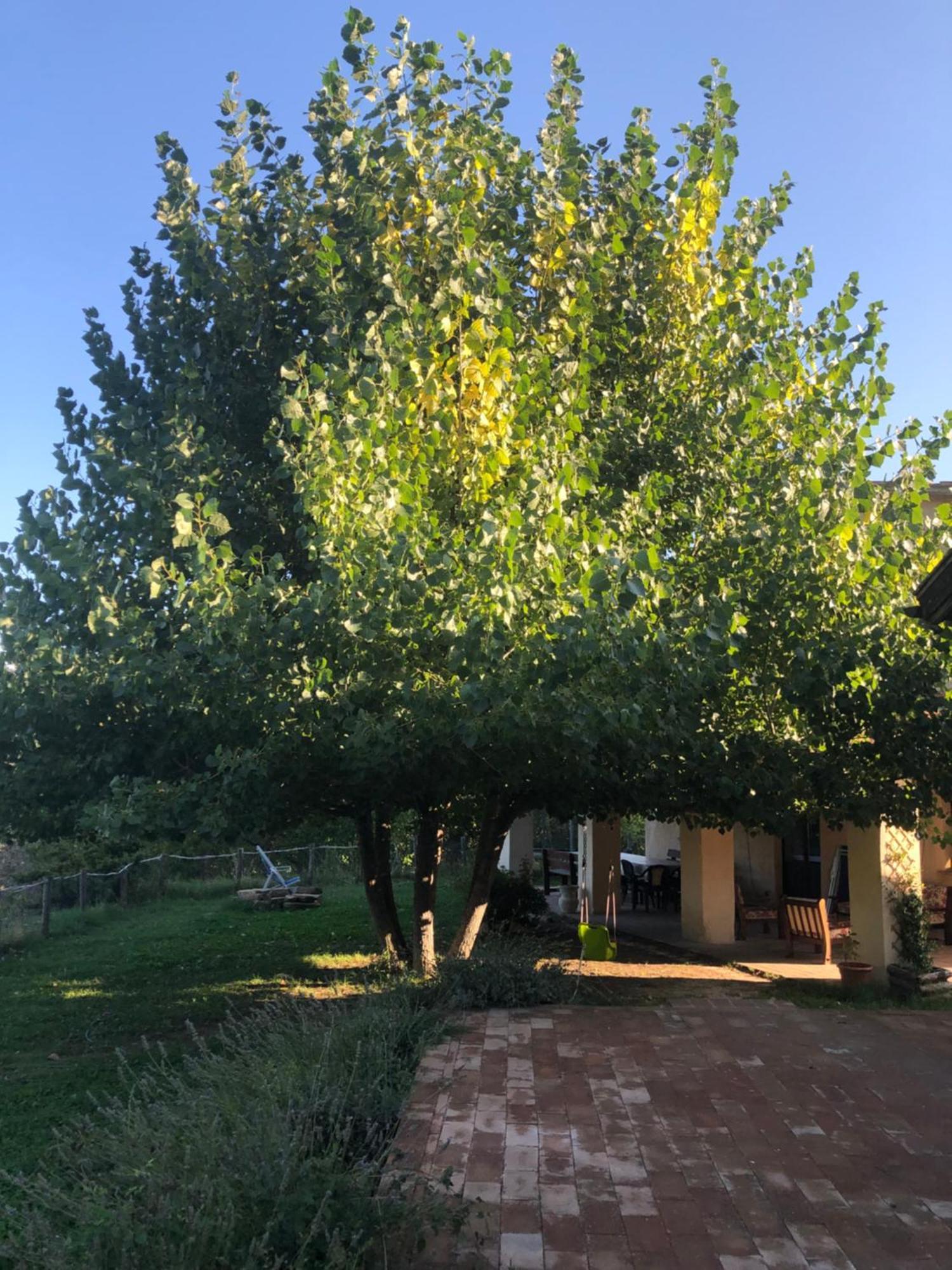 Agriturismo Il Covo Del Solengo Valtopina 外观 照片
